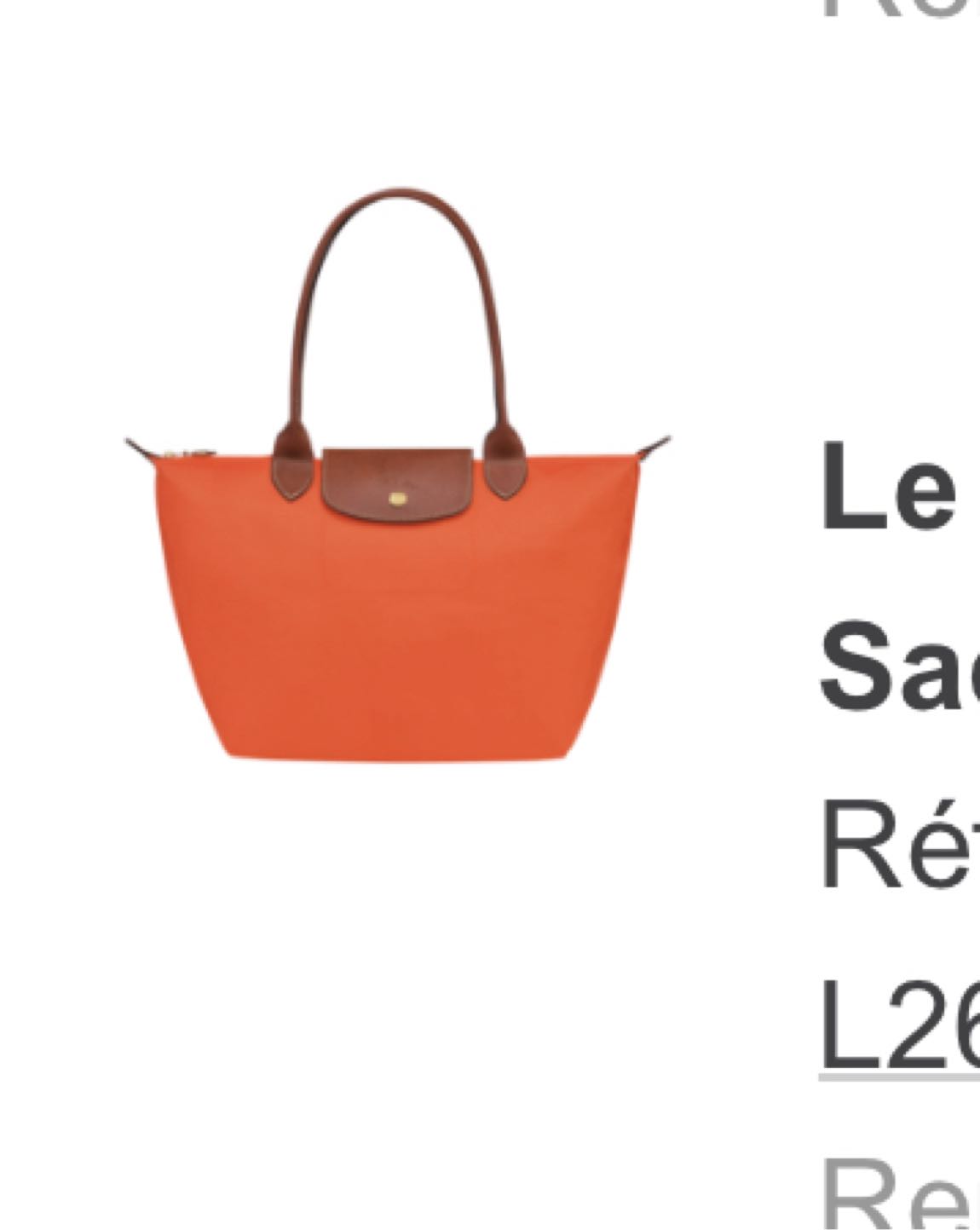 Longchamp canta — görsel 2/6
