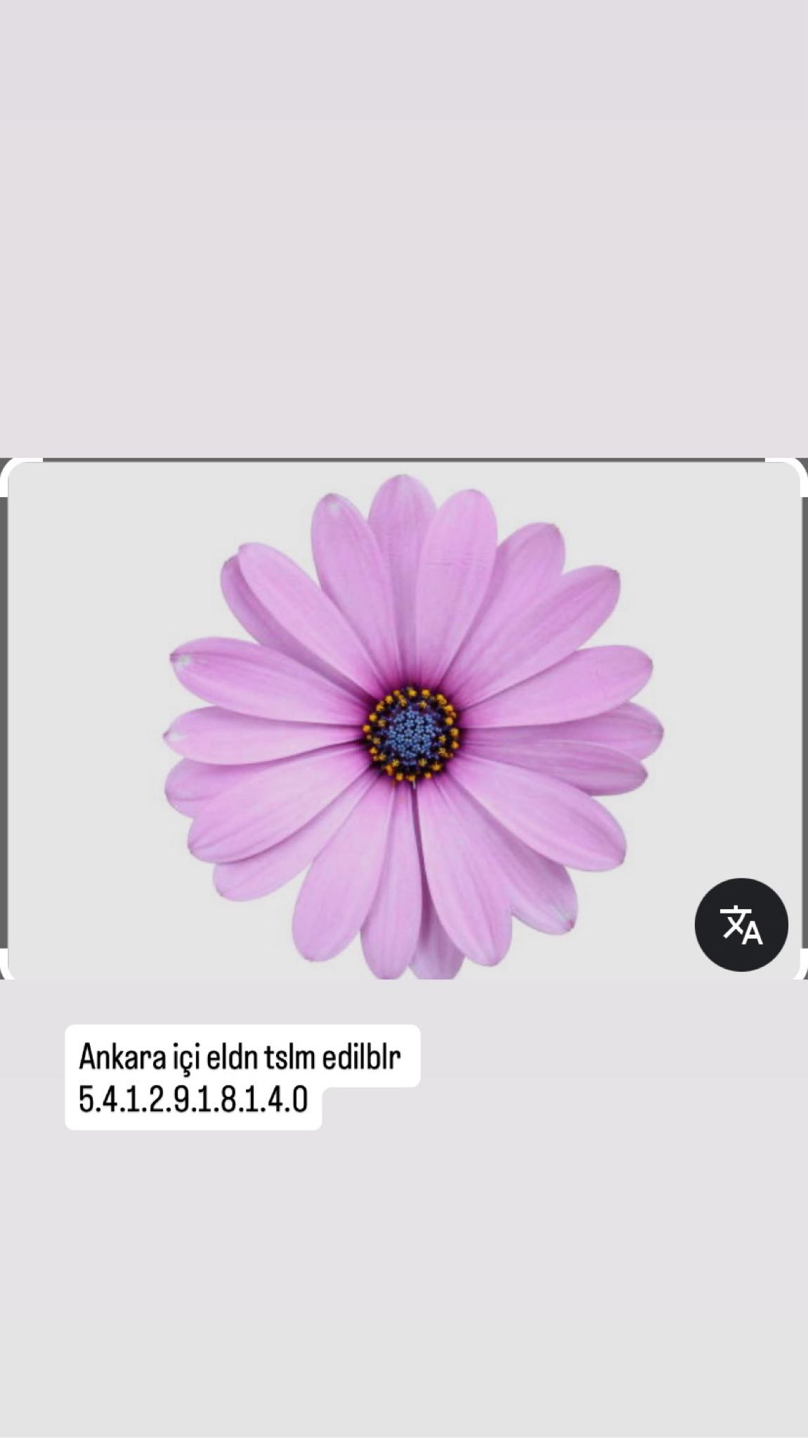 Levis Ceket — görsel 7/7