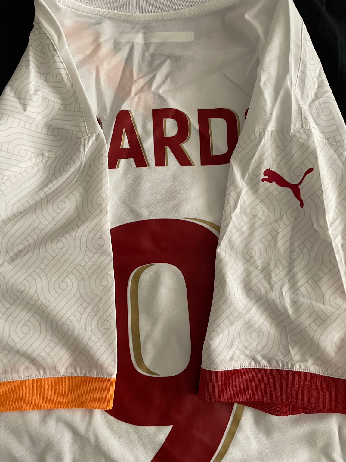 Galatasaray Icardı ProfesyonelPuma Forma — görsel 6/12