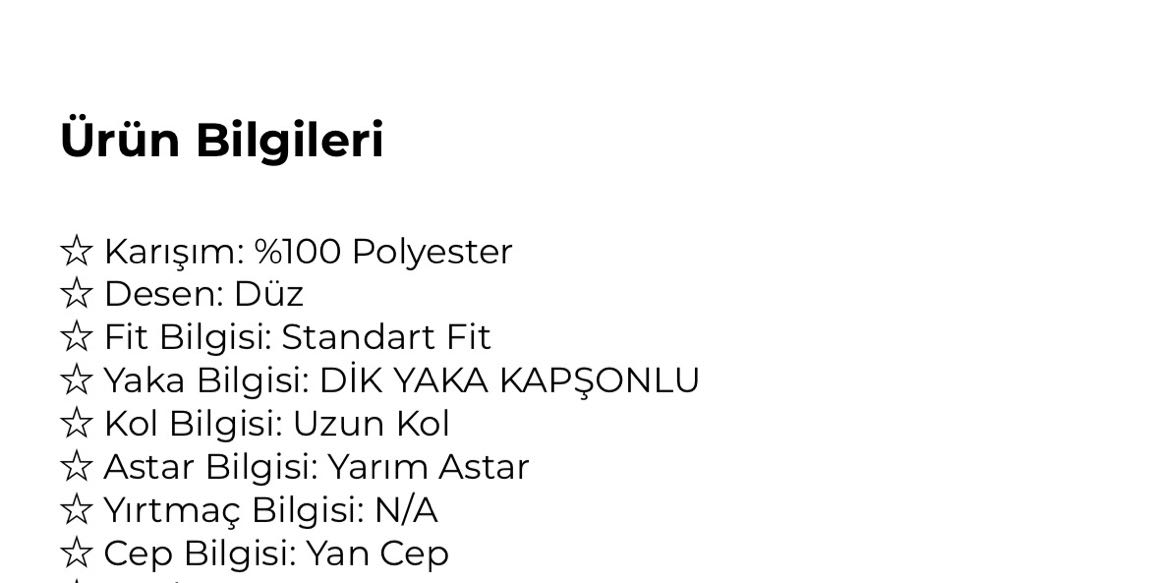 Fit Normal Kesim Dik Yaka Kapüşonlu Mont — görsel 8/8