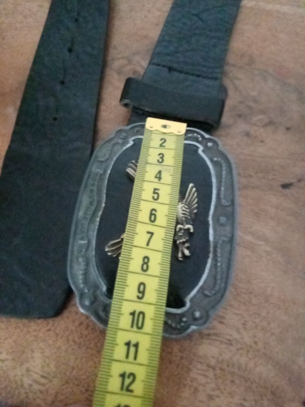 Muhteşem güzellikte deri LEVIS — görsel 8/8