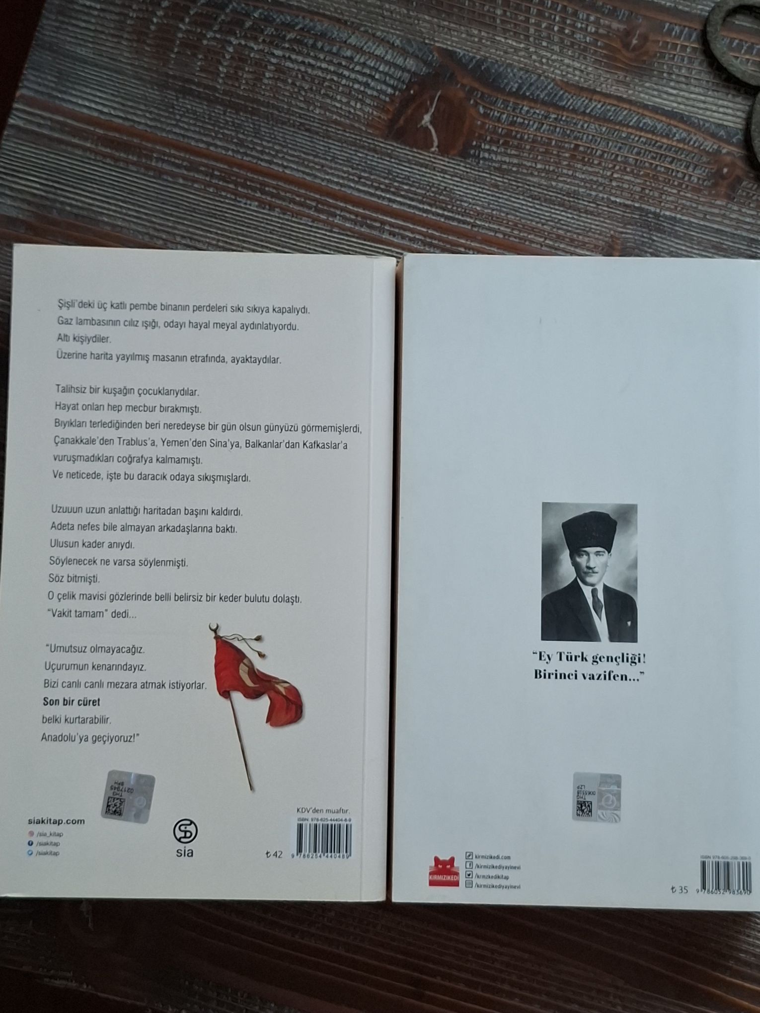 Yılmaz Özdil 2 Kitap birden. — görsel 3/4