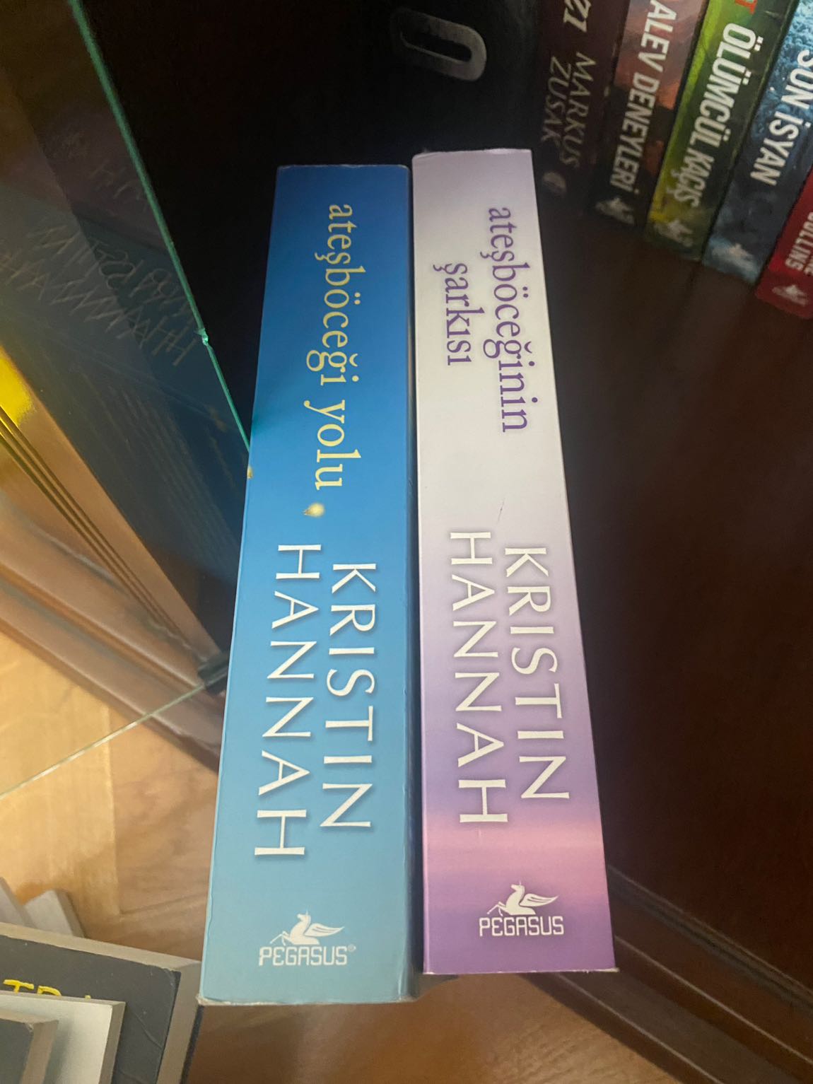Kristin Hannah Kitap Seti — görsel 2/2