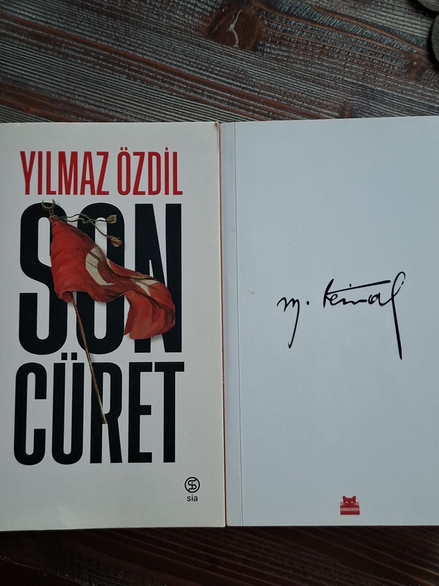 Yılmaz Özdil 2 Kitap birden. — görsel 2/4
