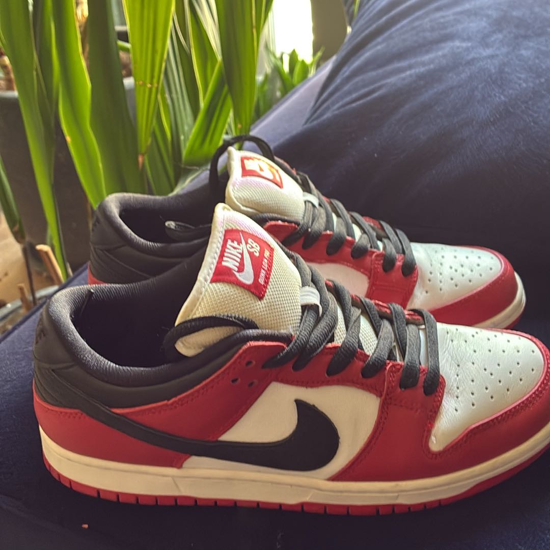 Nike SB Dunk Chicago — görsel 6/8