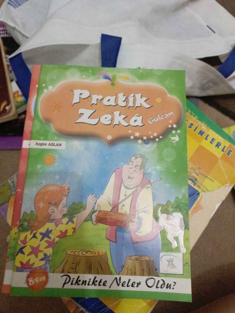 Pratik Zeka Kitap Seti — görsel 8/13
