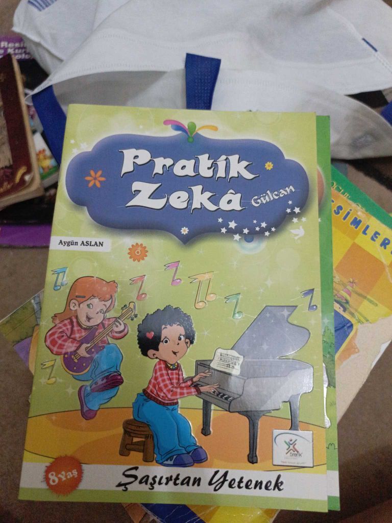 Pratik Zeka Kitap Seti — görsel 7/13