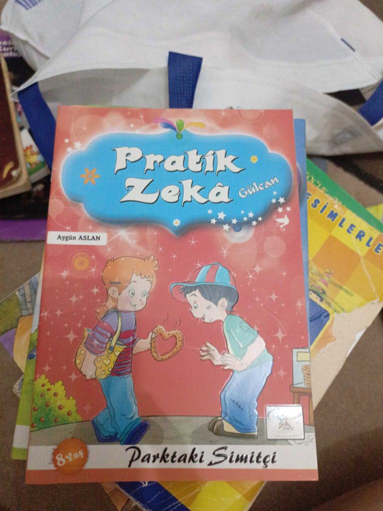 Pratik Zeka Kitap Seti — görsel 9/13