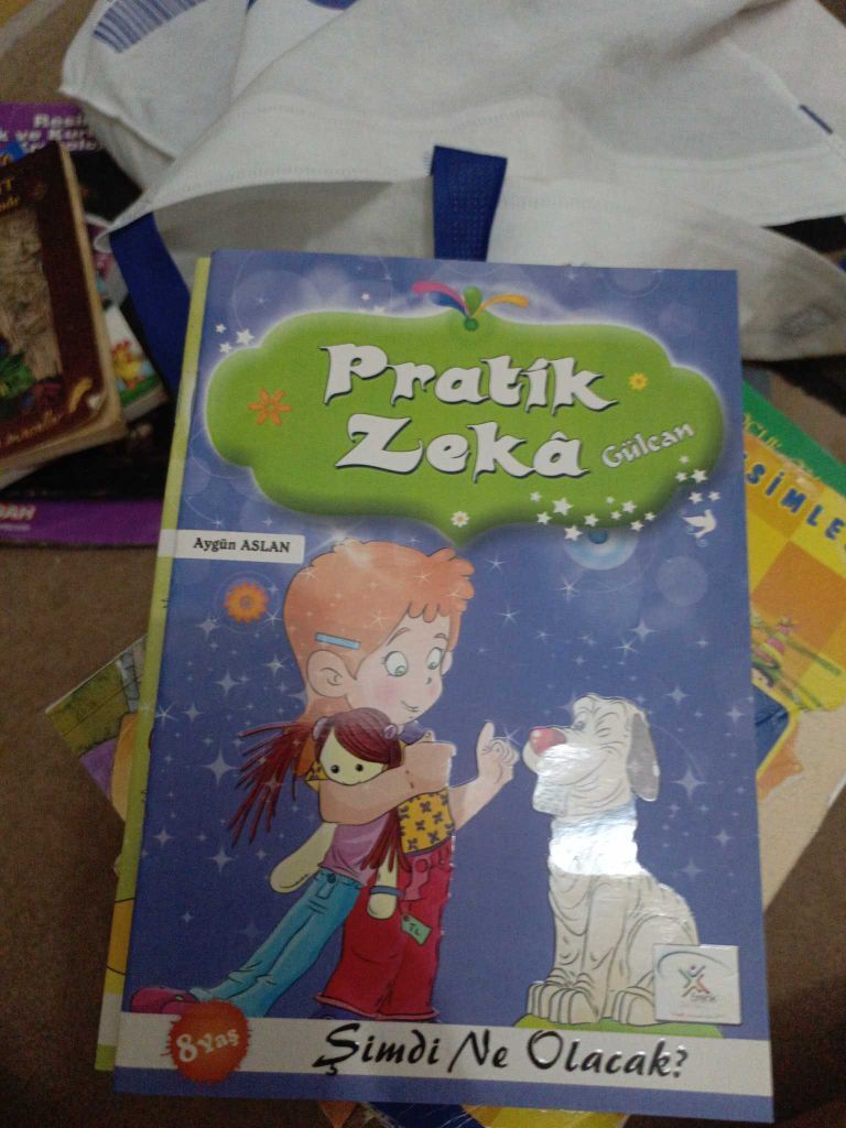 Pratik Zeka Kitap Seti — görsel 5/13