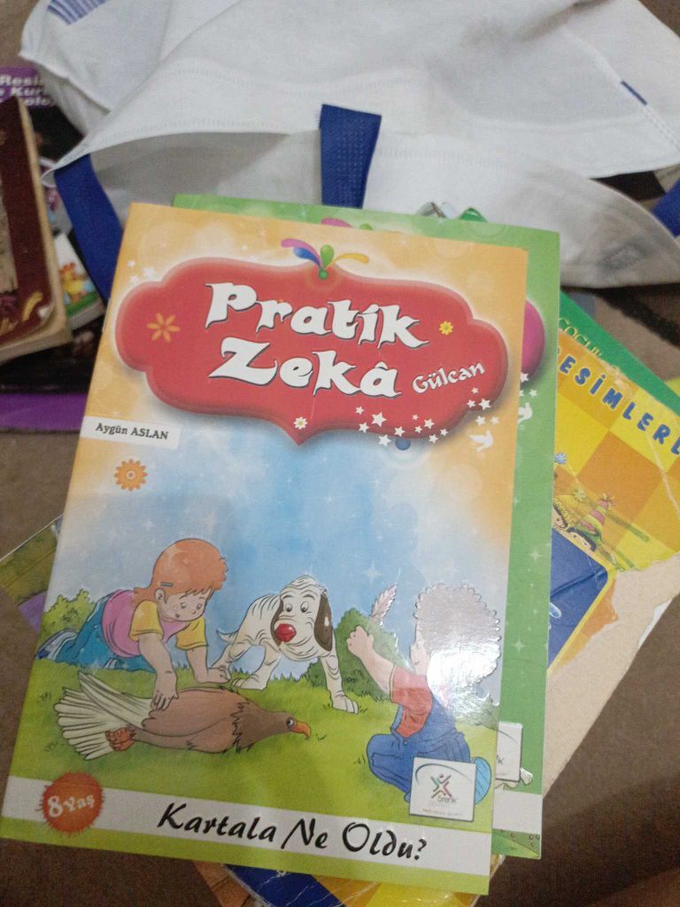 Pratik Zeka Kitap Seti — görsel 12/13