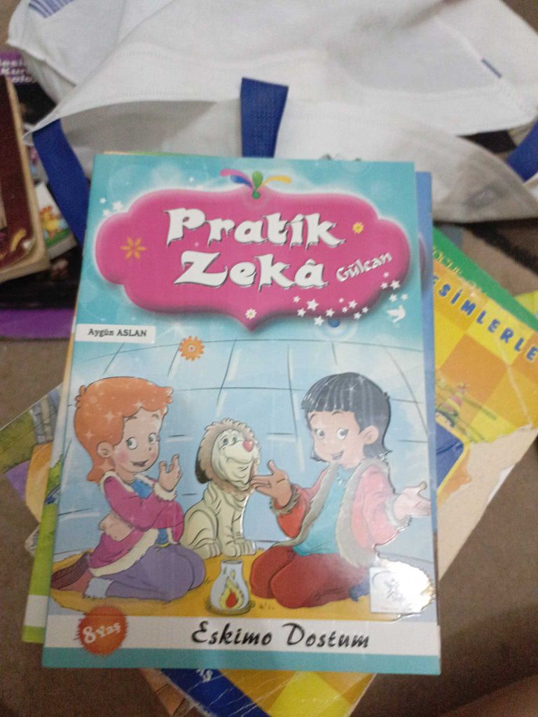 Pratik Zeka Kitap Seti — görsel 10/13