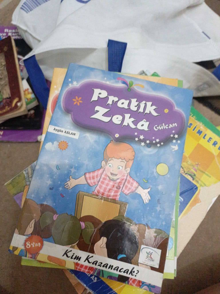 Pratik Zeka Kitap Seti — görsel 11/13