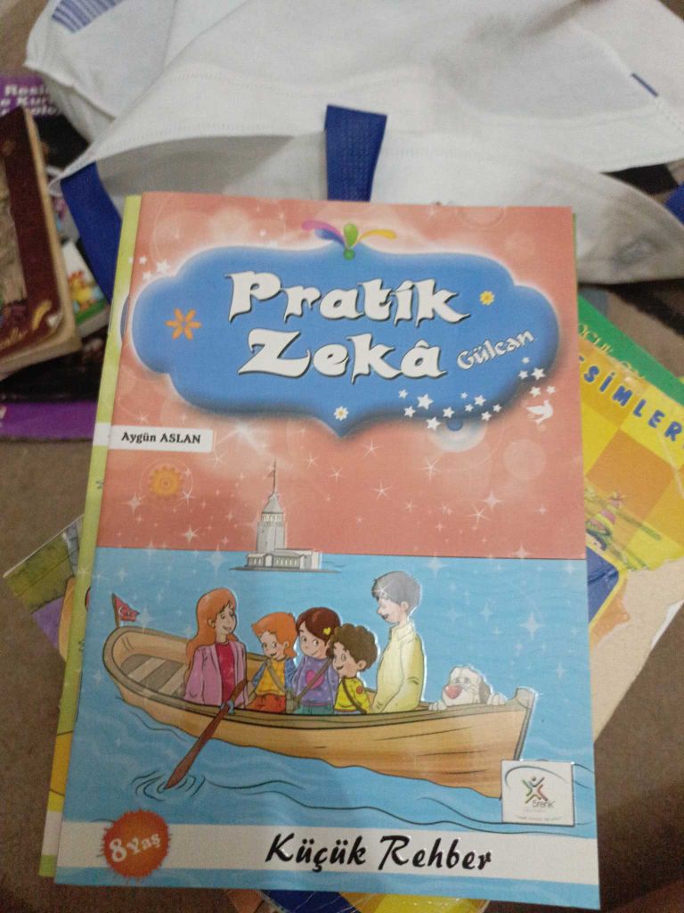 Pratik Zeka Kitap Seti — görsel 6/13
