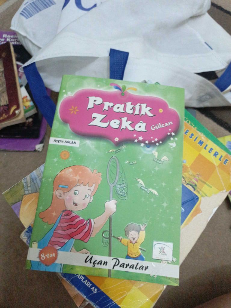 Pratik Zeka Kitap Seti — görsel 13/13
