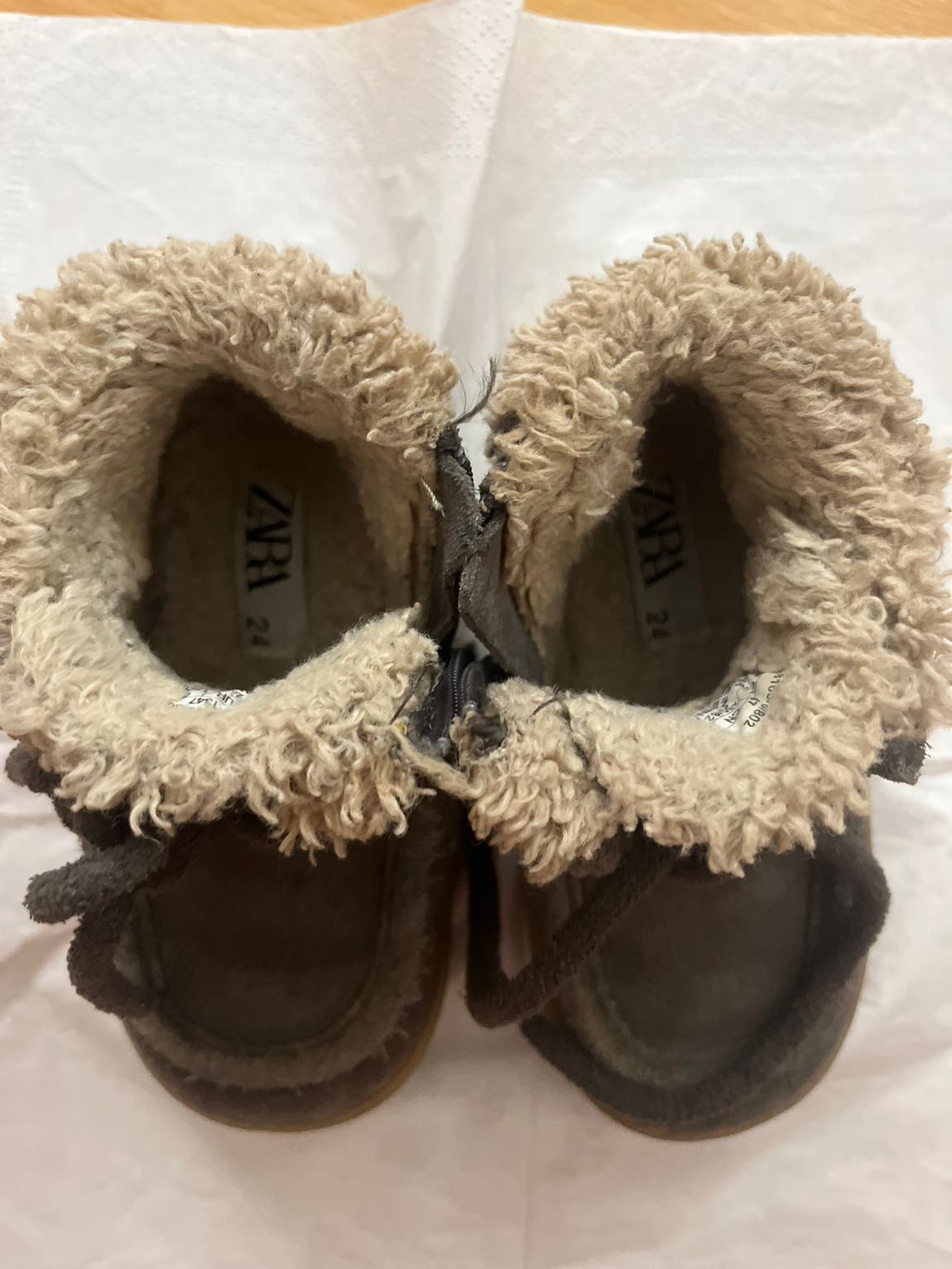 ZGri Tüylü Bot — görsel 3/7