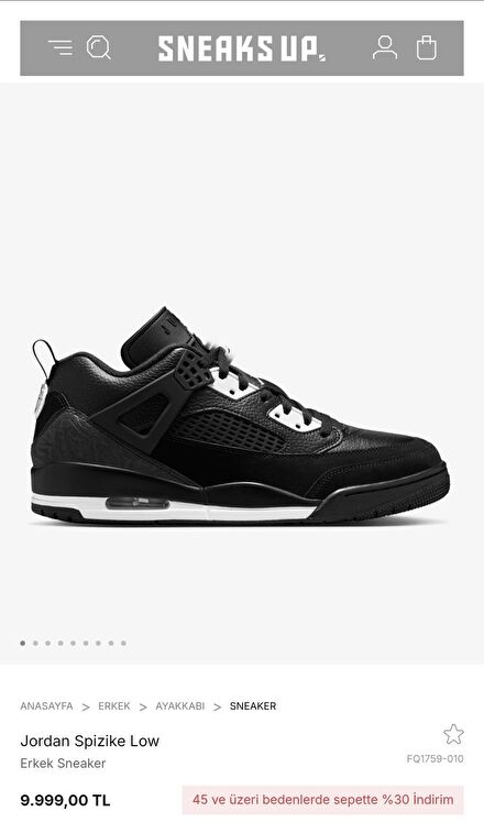 Nike Jordan Spizike Low Erkek Sneaker