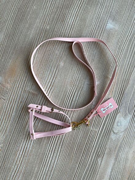 Pembe Kedi Tasması ve Gezdirme Tasması