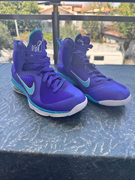 Nike LeBron 9 Summit Lake Hornets