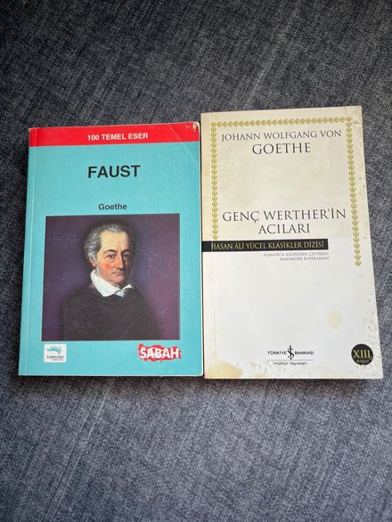Goethe İki Kitap Seti faust genç werther