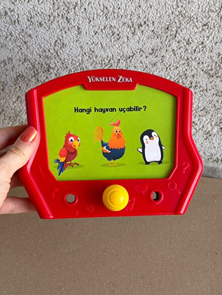 Yükselen Zeka Eğitici Oyuncak