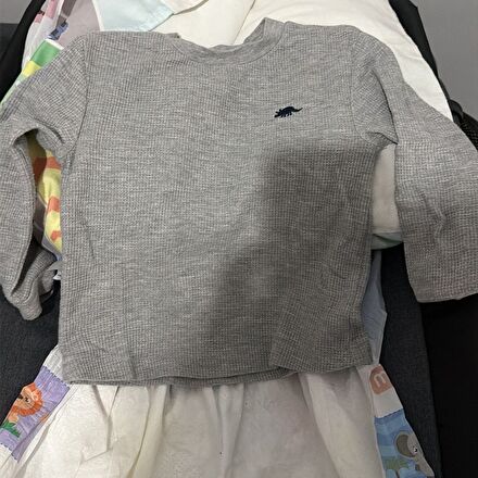 Litttle Me Dinazor Desenli Tişört