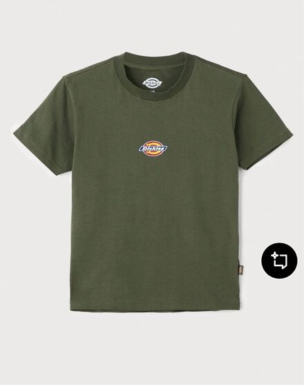 Orijinal Dickies Logo T-Shirt