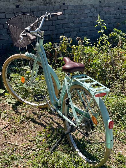 BTWIN Portbagajlı Şehir Bisikleti Yeşil
