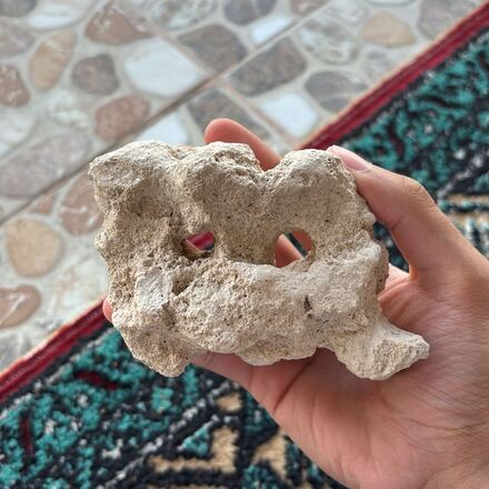 Fosil Görünümlü Değerli Taş Akvaryum süs