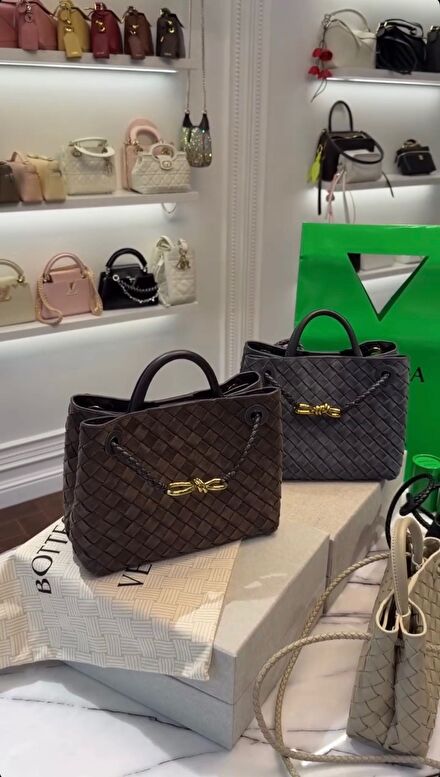 Bottega Venetta Andiamo Suede Bag