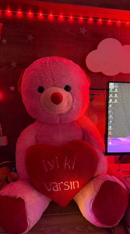 Dev Peluş Ayı ilan açtırınızz