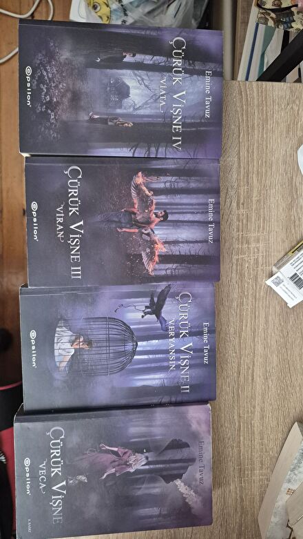 Epsilon Yayınları Diğer Kitap & Dergi