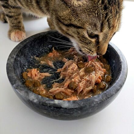 Kedi Mama Kabı