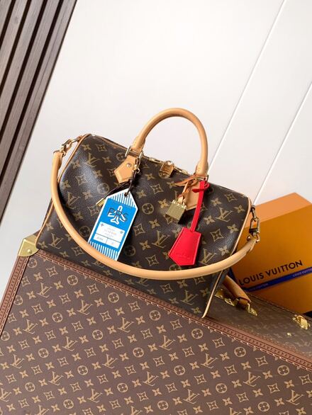 Louis Vuitton Speedy 30 Soft Premium Ürn
