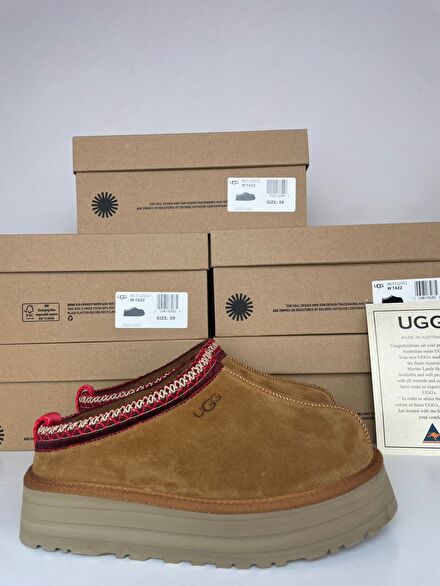 Ugg Tazz Taba