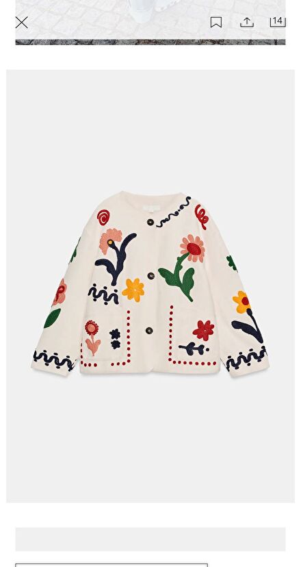 Zara Nakışlı Ceket