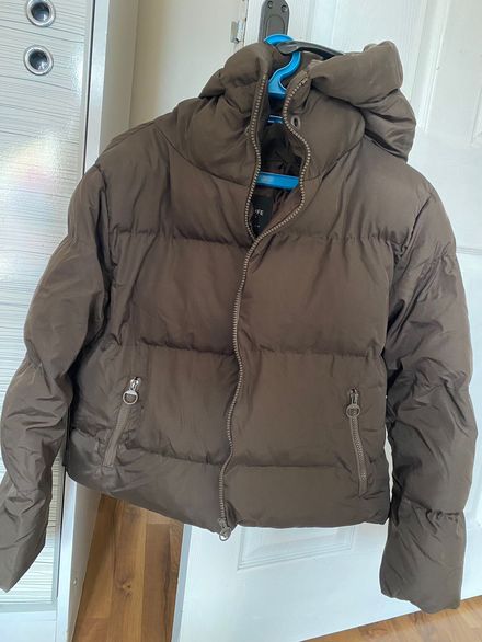 Kahverengi Mont