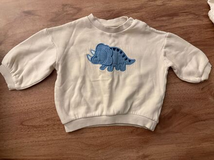 H&M Erkek Bebek Sweatshirt 9-12 ay
