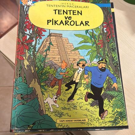 Tenten ve Pikarolar Kitap serisi