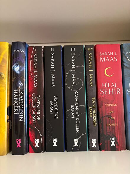 Sarah J. Maas Acotar yan boyamalı
