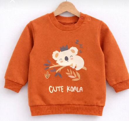 Bebek Sweatshirt Koala Baskılı