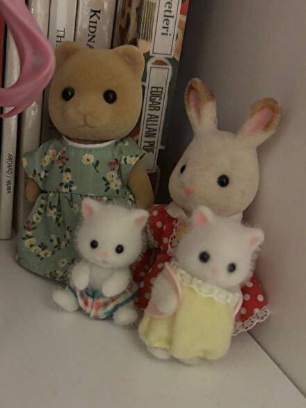 Sylvanian Families Figür Seti