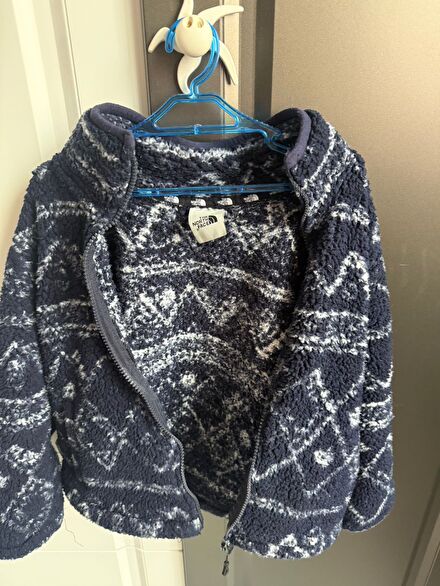 The North Face Polar Sweatshirt