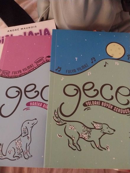 Gece Yoldaki Büyük Serüven Kitabı