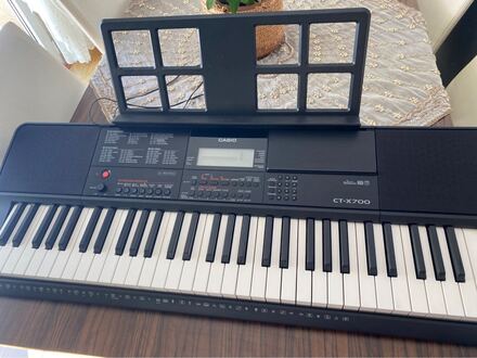 Casio CT-X700 Org