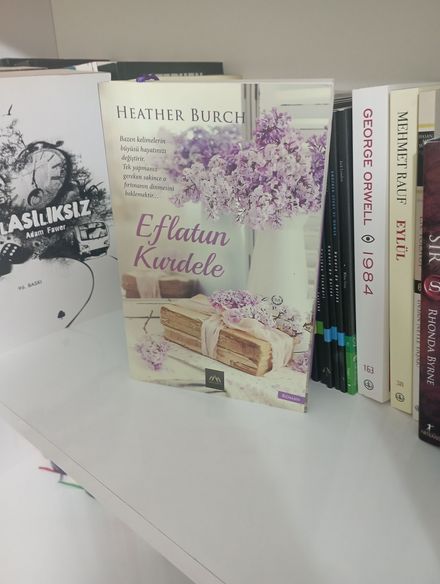 Eflatun Kurdele Kitabı