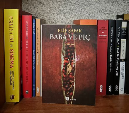 Baba ve Piç Roman