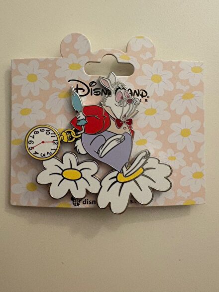 Disneyland Rozet (Pin)