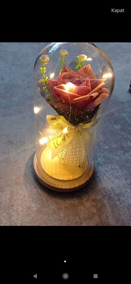Romantik Gül Dekoratif Şişe Işıklı
