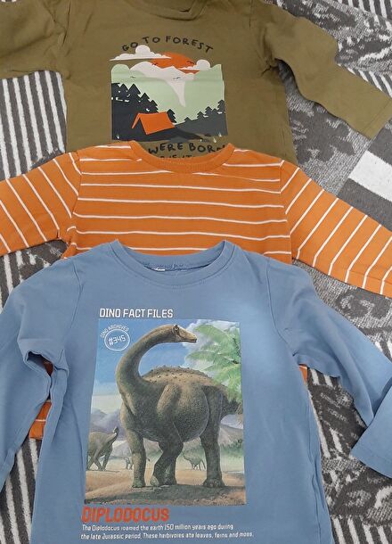 3 adet erkek çocuk uzunkol tshirt