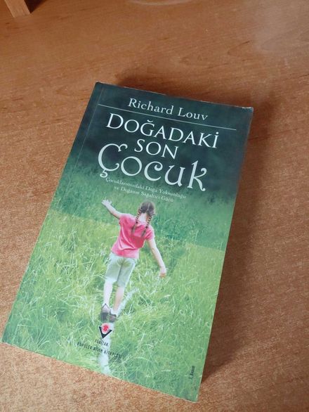 Doğadaki Son Çocuk Kitabı